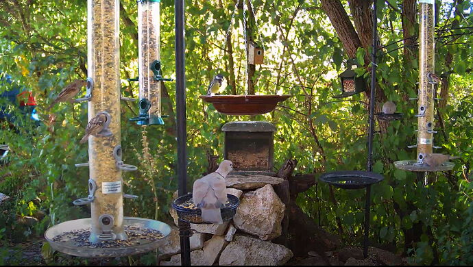 Snap_2022.08.11_18h19m12s_022_