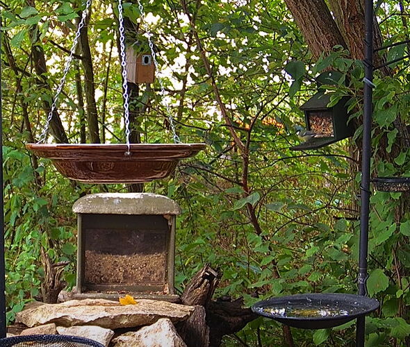 Snap_2022.08.21_07h36m22s_002_