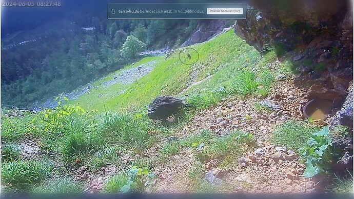Bildschirmfoto vom 2024-06-05 08-28-09