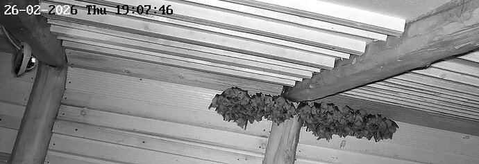 2026-02-26_2 ab 18.00 Aufbau Cluster 5