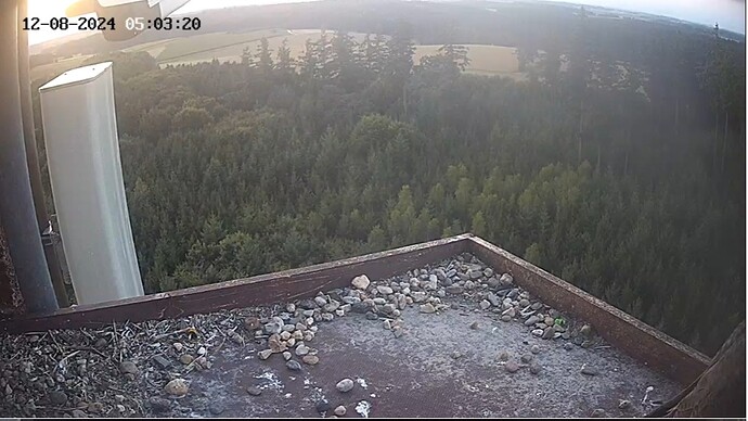 Screenshot_20240812_060208_Samsung Internet