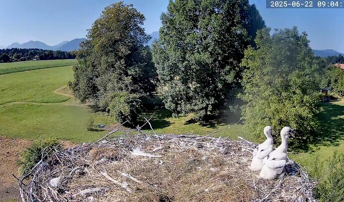 Screenshot_2025-06-22-09-04-46-942_com.google.android.youtube