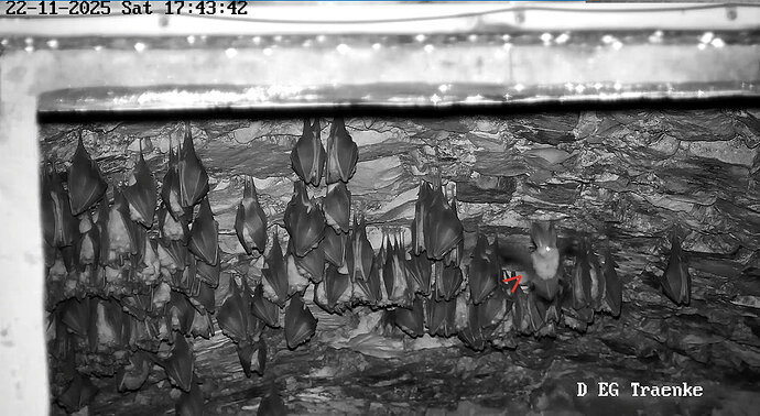 Vollbildaufzeichnung 22.11.2025 174357