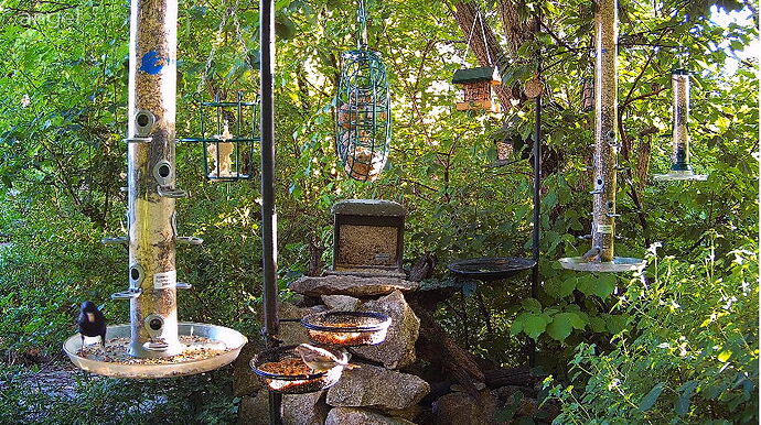 Snap_2024.05.11_18h44m07s_008_