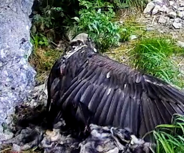 Screenshot_2025-06-23-18-44-52-743_com.android.chrome