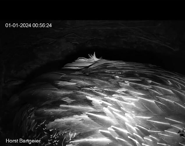 Screenshot_20240101-005716~4