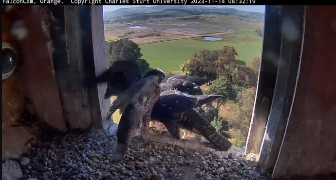 Screenshot_20231113_223450_YouTube