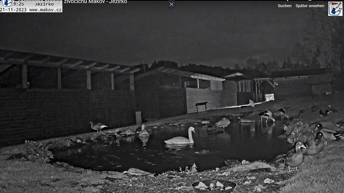 Snap_2023.11.21_06h39m58s_004_