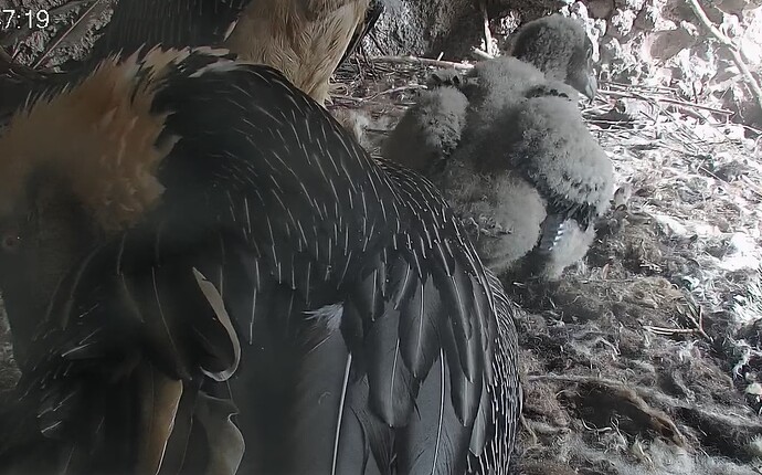 Draussen bestimmt interessant 07.04.24