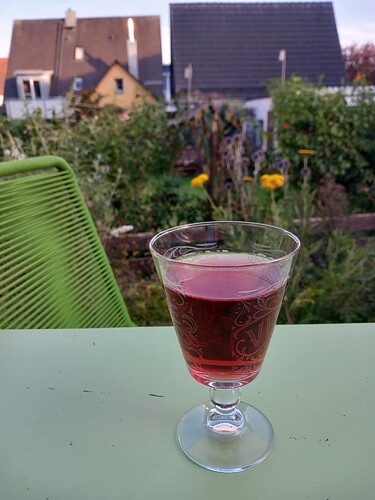 17251224600656218755641662156040