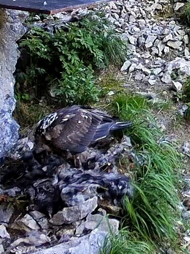 Screenshot_20250621-124324_Chrome