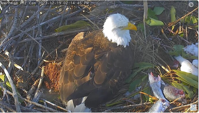 Screenshot 2023-12-19 201559