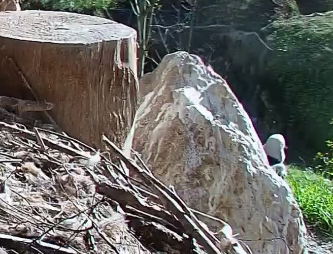 Screenshot_2025-11-11-13-26-07-115_com.android.chrome~2