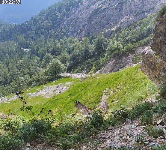 Snap_2025.06.20_10h23m01s_016_