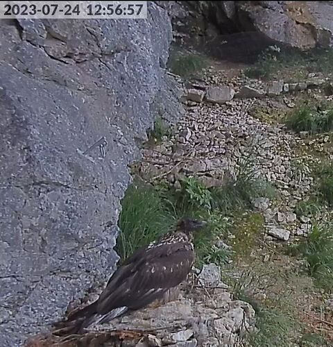 Snap_2023.07.24_12h57m23s_003_