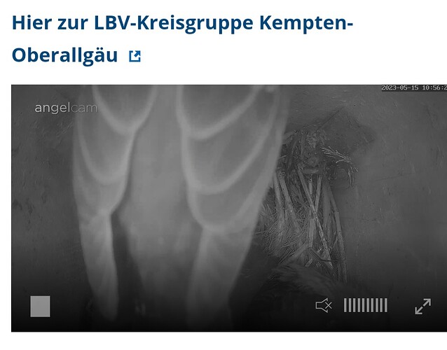 Screenshot_20230515_105646_Samsung Internet