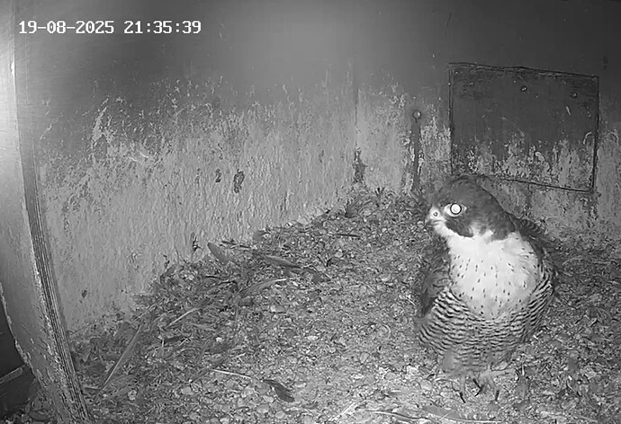 Capture+_2025-08-19-22-30-58(1)