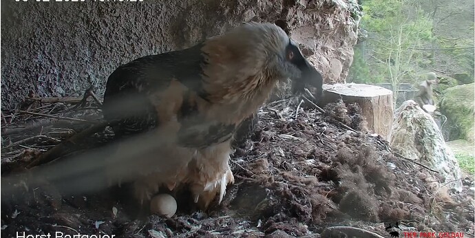 M u Pfleger 03.02.26