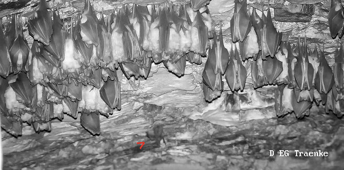 2025-12-06 Wimpi kriecht zum Versteck 3