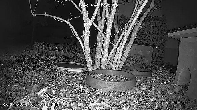 Pepe und Peppino_playback_1679894000981