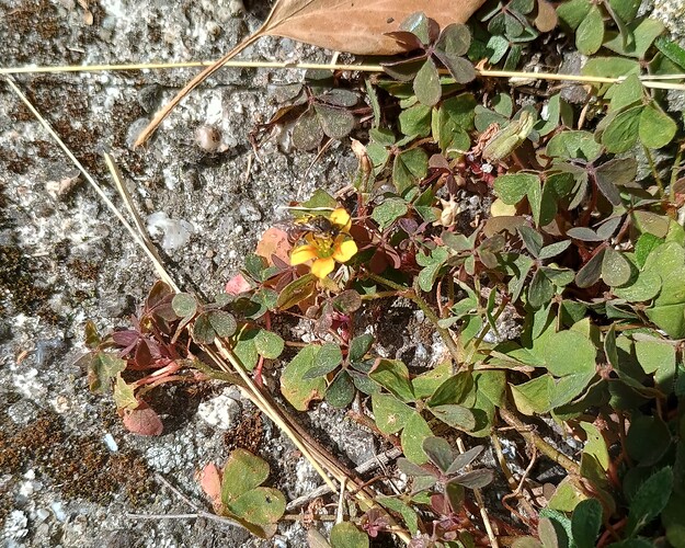 IMG_20250831_144354558_HDR~2