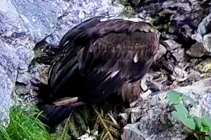 Screenshot_2025-06-20-09-33-41-135_com.android.chrome