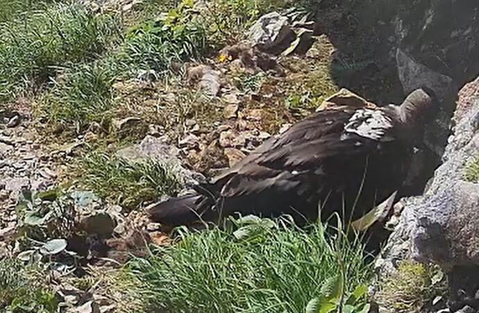 Luisa am Wasser 13.06.25