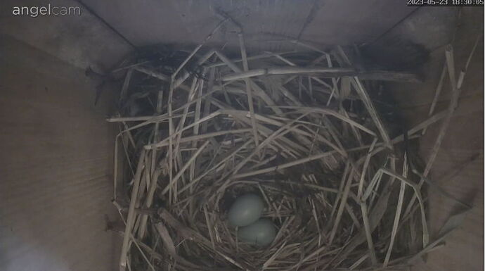 Snap_2023.05.23_18h30m30s_022_