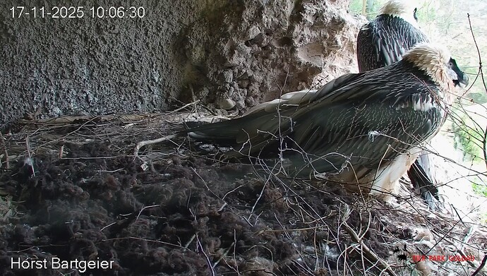 Blick nach draußen 17.11.25