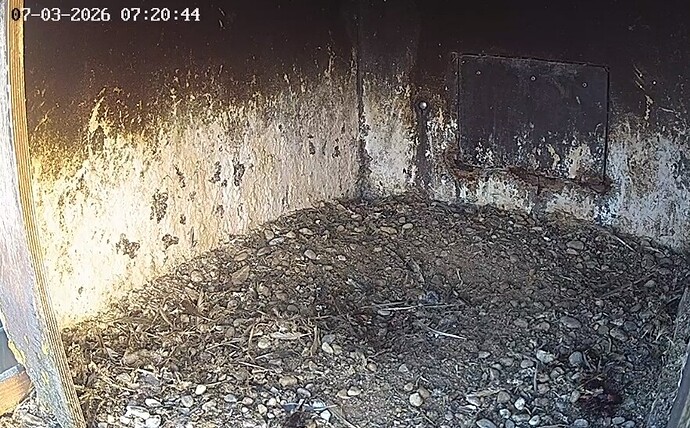 Screenshot_20260307_071418_Chrome