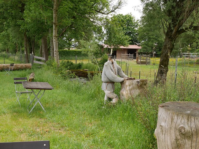 P1000575 (1)