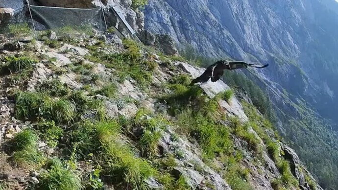 Bildschirmfoto vom 2025-06-12 11-11-29