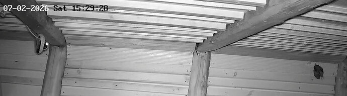 2026-02-7_2 ab 15.00  drei Hufi in WG