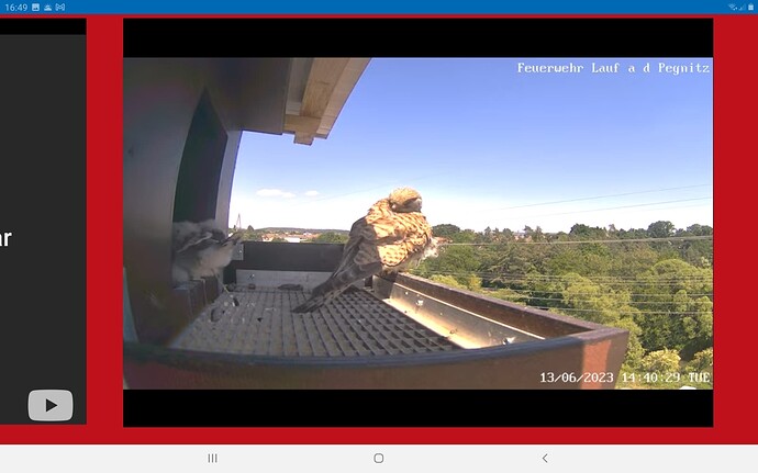 Screenshot_20230613-164925_Chrome