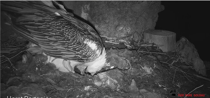 Screenshot_20251229-062652~2