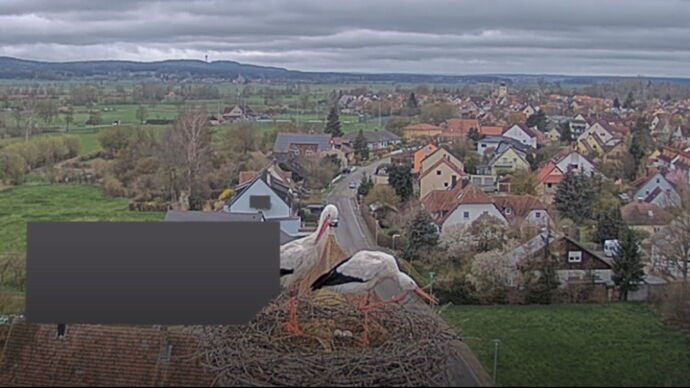 Snap_2023.04.02_14h59m36s_015_