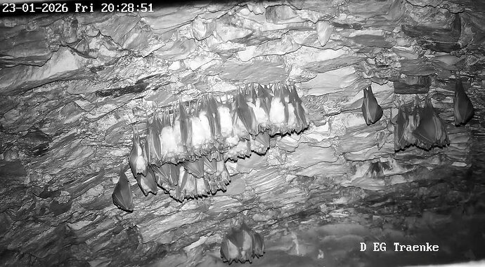 2026-01-23_3 ab 20.00 Cluster