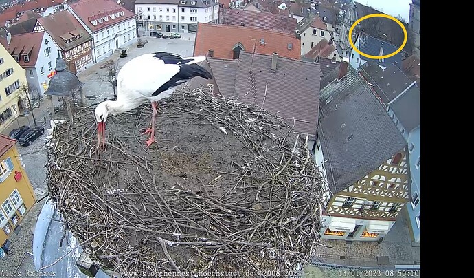 Bild