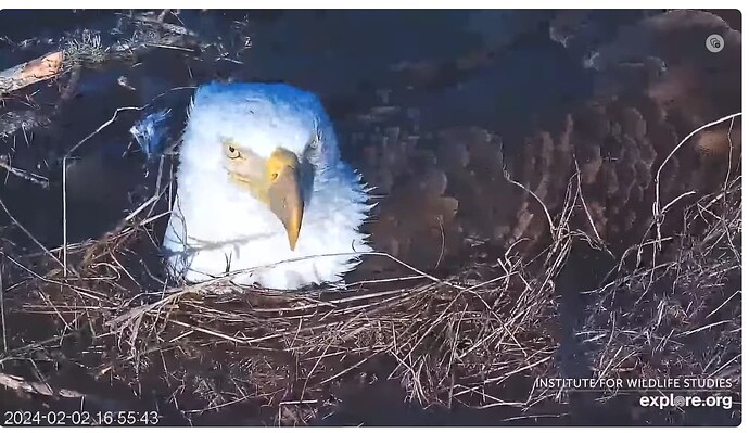 Screenshot 2024-02-03 121508