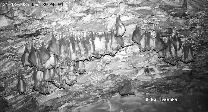 2025-12-31 ab 20.00_7 Minicluster