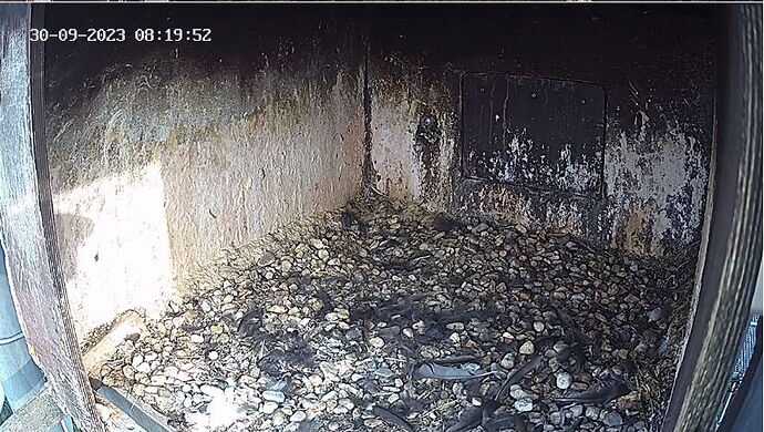 Snap_2023.09.30_09h18m03s_001_