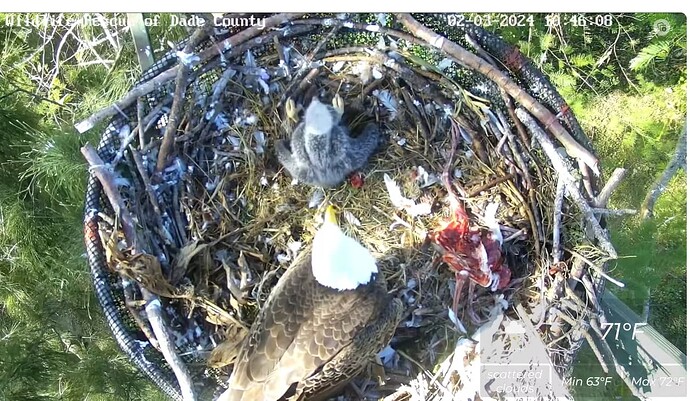 Screenshot 2024-02-03 164642