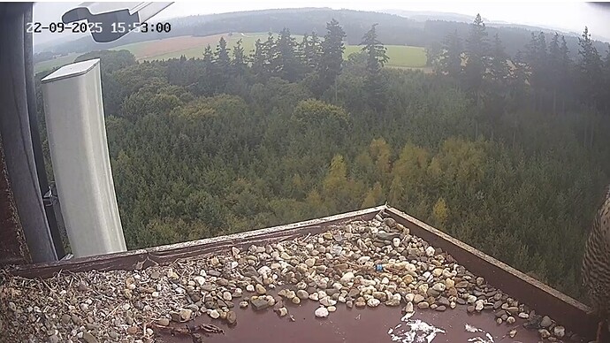 Screenshot_20250922_155333_Chrome