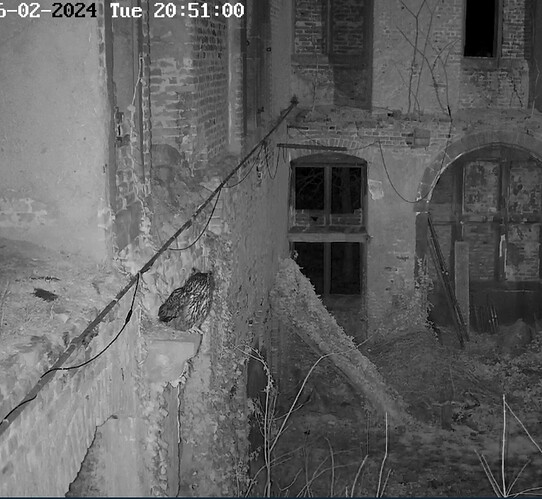 Screenshot_20240206_205111_Chrome