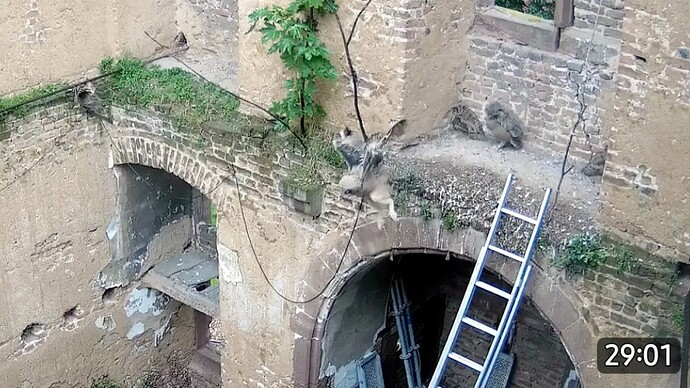 Screenshot_20240516_084843_YouTube