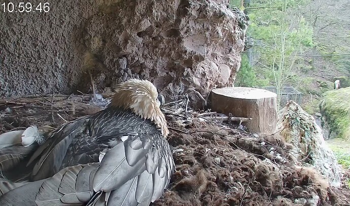 Screenshot_20251230-110050~2