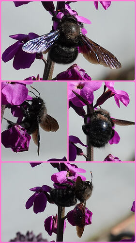 20260322_190610-COLLAGE