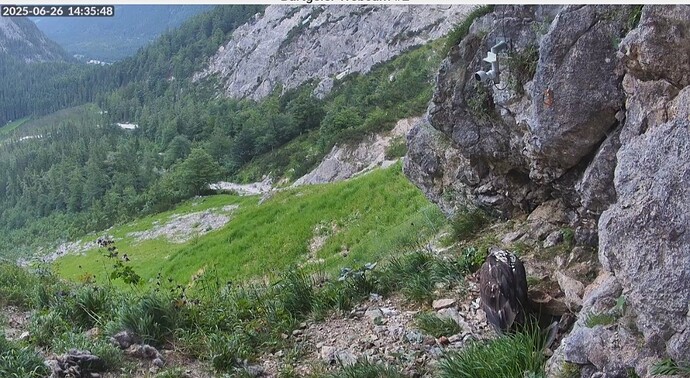 Screenshot_20250626_143646_Firefox