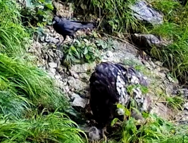 Screenshot_2025-06-11-06-24-54-270_com.android.chrome