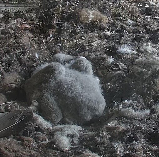 Alleingelassen 21.03.24